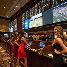 mg casino