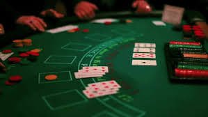 mg casino